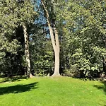 Luftschloss Baum 6 Appartement *