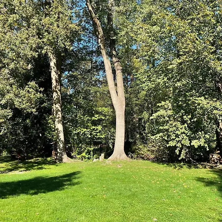 Daire Luftschloss Baum 6 Burg (Spreewald)