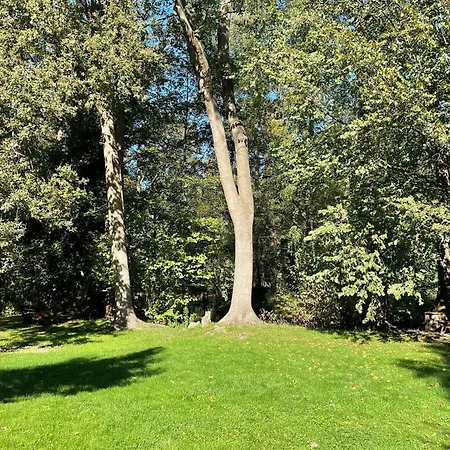 Luftschloss Baum 6 Lägenhet *