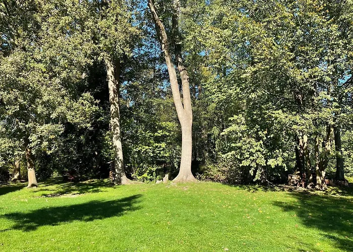 Apartment Luftschloss Baum 6 Burg (Spreewald)